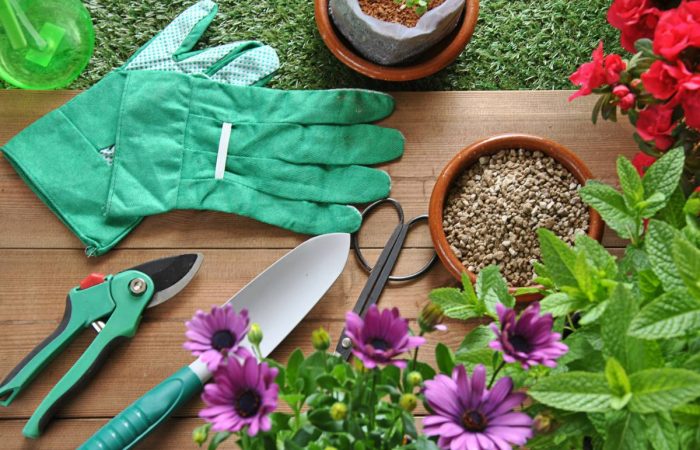 6 Tools You Need to Become a Cannabis Gardener